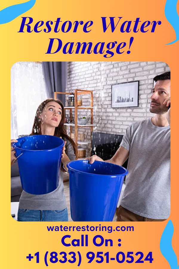 water restoration Patriot Water Mitigation Co Spring Valley