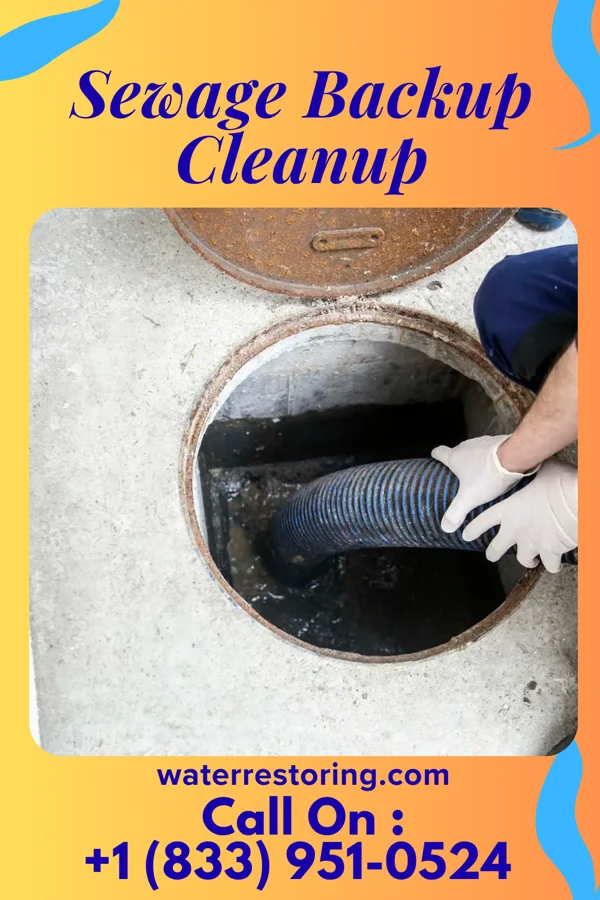 Sewage Backup Cleanup in Spring Valley, KY