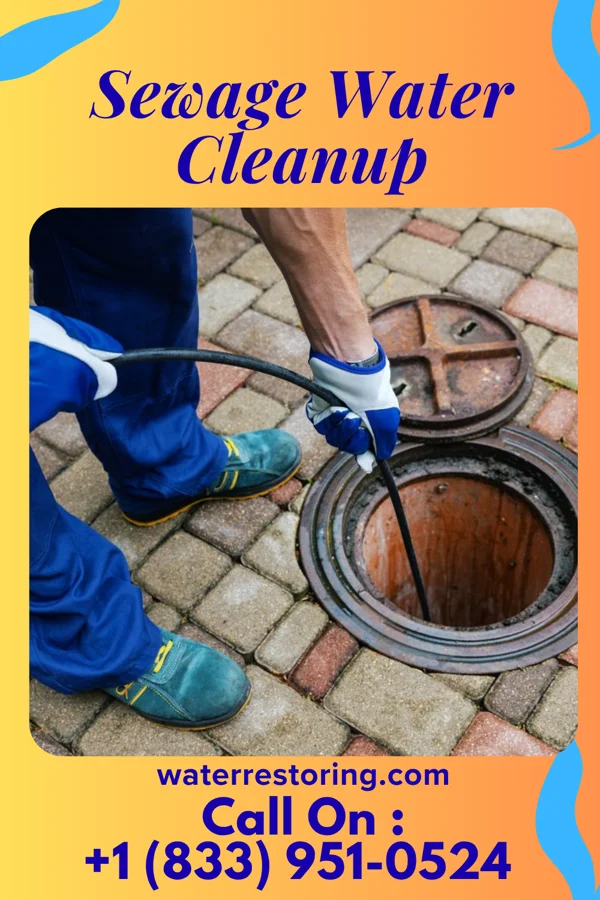Sewage Water Cleanup in Spring Valley, KY